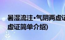暑湿流注·气阴两虚证(对于暑湿流注·气阴两虚证简单介绍)