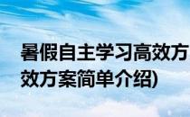 暑假自主学习高效方案(对于暑假自主学习高效方案简单介绍)