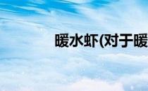 暖水虾(对于暖水虾简单介绍)