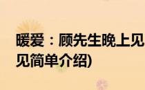 暖爱：顾先生晚上见(对于暖爱：顾先生晚上见简单介绍)