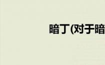 暗丁(对于暗丁简单介绍)