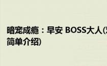 暗宠成瘾：早安 BOSS大人(对于暗宠成瘾：早安 BOSS大人简单介绍)