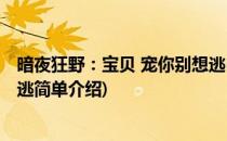 暗夜狂野：宝贝 宠你别想逃(对于暗夜狂野：宝贝 宠你别想逃简单介绍)