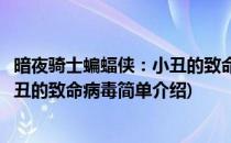 暗夜骑士蝙蝠侠：小丑的致命病毒(对于暗夜骑士蝙蝠侠：小丑的致命病毒简单介绍)