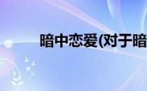 暗中恋爱(对于暗中恋爱简单介绍)