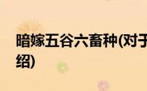 暗嫁五谷六畜种(对于暗嫁五谷六畜种简单介绍)