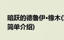暗跃的德鲁伊·橡木(对于暗跃的德鲁伊·橡木简单介绍)