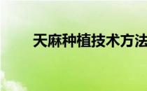 天麻种植技术方法视频（天麻种植）