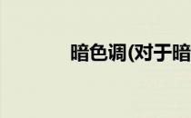 暗色调(对于暗色调简单介绍)