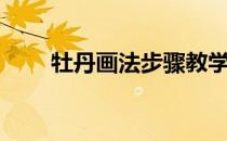 牡丹画法步骤教学视频（牡丹画法）