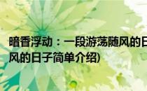 暗香浮动：一段游荡随风的日子(对于暗香浮动：一段游荡随风的日子简单介绍)