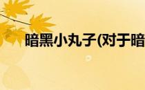 暗黑小丸子(对于暗黑小丸子简单介绍)
