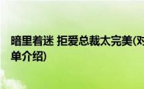 暗里着迷 拒爱总裁太完美(对于暗里着迷 拒爱总裁太完美简单介绍)