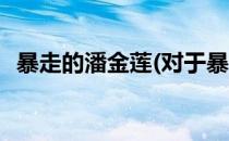 暴走的潘金莲(对于暴走的潘金莲简单介绍)