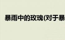暴雨中的玫瑰(对于暴雨中的玫瑰简单介绍)