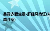 暴露赤眼生翳·肝经风热证(对于暴露赤眼生翳·肝经风热证简单介绍)
