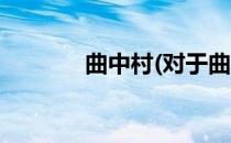 曲中村(对于曲中村简单介绍)
