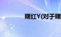 曙红Y(对于曙红Y简单介绍)
