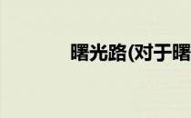 曙光路(对于曙光路简单介绍)
