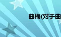 曲梅(对于曲梅简单介绍)
