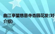 曲江亭望慈恩寺杏园花发(对于曲江亭望慈恩寺杏园花发简单介绍)