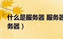 什么是服务器 服务器的作用什么（什么是服务器）