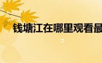 钱塘江在哪里观看最壮观（钱塘江在哪）