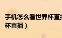 手机怎么看世界杯直播视频（手机怎么看世界杯直播）