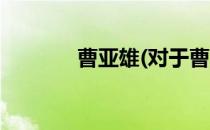曹亚雄(对于曹亚雄简单介绍)