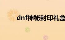 dnf神秘封印礼盒（dnf神秘封印）
