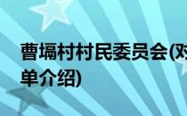 曹塥村村民委员会(对于曹塥村村民委员会简单介绍)