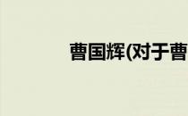 曹国辉(对于曹国辉简单介绍)