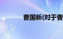曹国新(对于曹国新简单介绍)