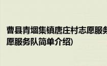 曹县青堌集镇唐庄村志愿服务队(对于曹县青堌集镇唐庄村志愿服务队简单介绍)