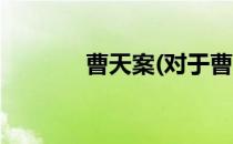 曹天案(对于曹天案简单介绍)