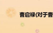 曹启禄(对于曹启禄简单介绍)