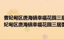 曹妃甸区唐海镇幸福花园三居委会残协志愿服务小队(对于曹妃甸区唐海镇幸福花园三居委会残协志愿服务小队简单介绍)