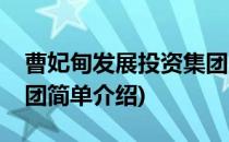 曹妃甸发展投资集团(对于曹妃甸发展投资集团简单介绍)