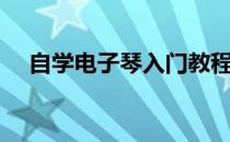 自学电子琴入门教程（轻松自学电子琴）
