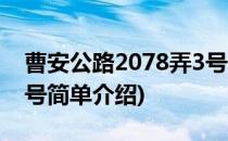 曹安公路2078弄3号(对于曹安公路2078弄3号简单介绍)