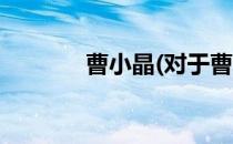 曹小晶(对于曹小晶简单介绍)