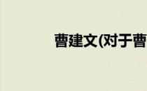 曹建文(对于曹建文简单介绍)