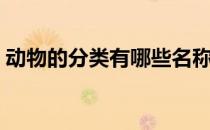 动物的分类有哪些名称（动物的分类有哪些）