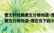 曹文轩经典美文分级悦读·埋在雪下的小屋(对于曹文轩经典美文分级悦读·埋在雪下的小屋简单介绍)