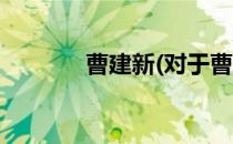 曹建新(对于曹建新简单介绍)