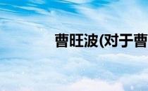 曹旺波(对于曹旺波简单介绍)
