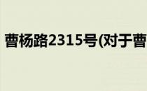 曹杨路2315号(对于曹杨路2315号简单介绍)