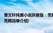 曹文轩纯美小说拼音版：秃鹤(对于曹文轩纯美小说拼音版：秃鹤简单介绍)