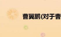 曹翼鹏(对于曹翼鹏简单介绍)