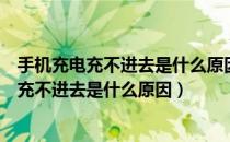 手机充电充不进去是什么原因但是USB插口可以（手机充电充不进去是什么原因）